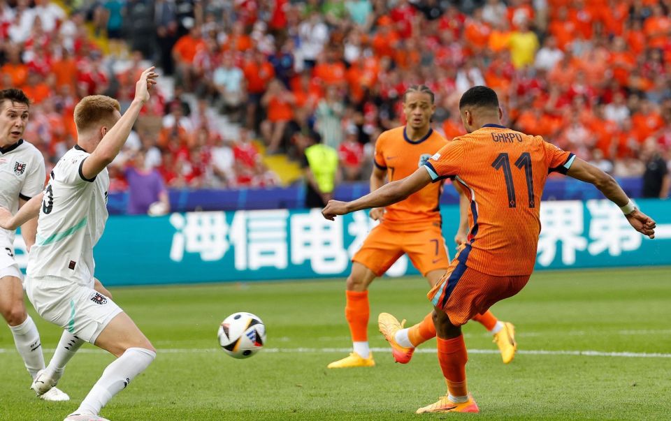 开云体育官网入口-包含荷兰逆袭击败奥地利，锁定欧锦赛小组头名的词条