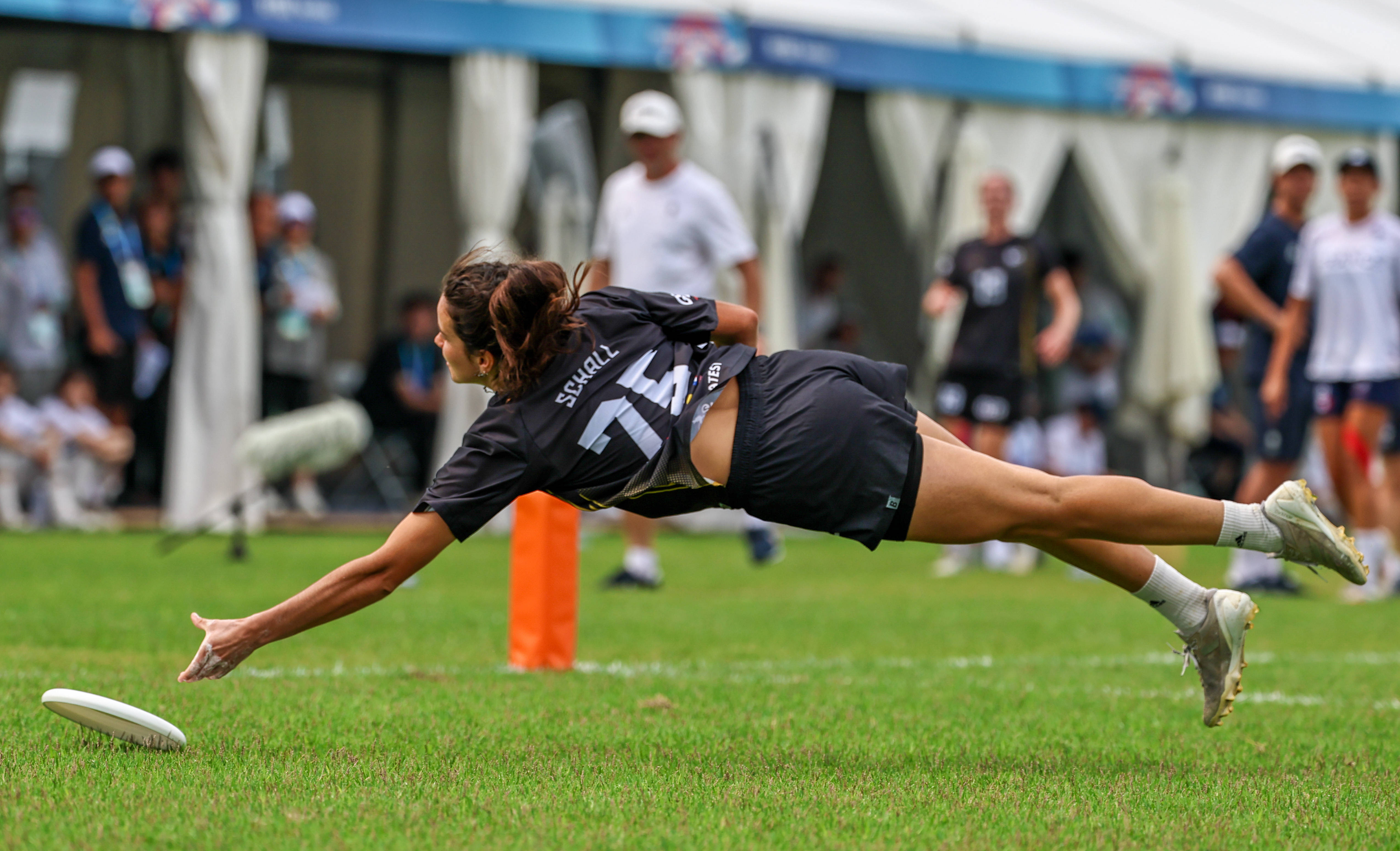 德国队群星闪耀，夺得铜牌殊荣的简单介绍