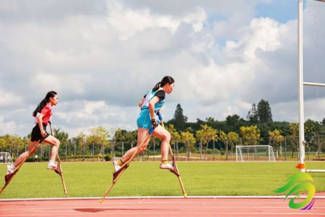精彩纷呈！荷兰选手集体斩获奖牌